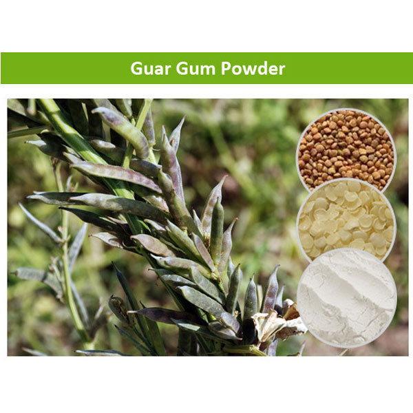 Guar Gum