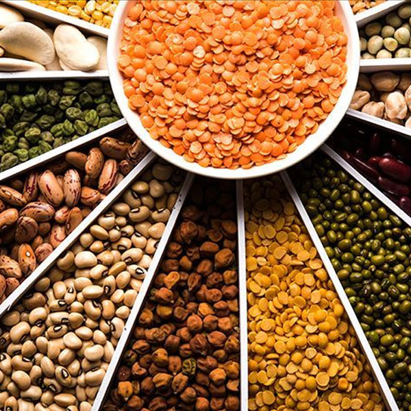 Porduct Category Agri Products