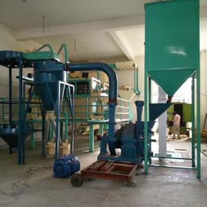 Species Processing  Plant