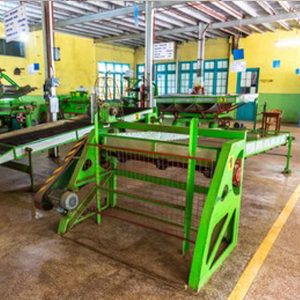 Tea Processing Plant